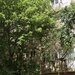 13 Septembrie, apartament 4 camere, 97 mp, 2 bai, etaj 7/8.